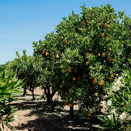 Entrecolinas 4* 알부페이라