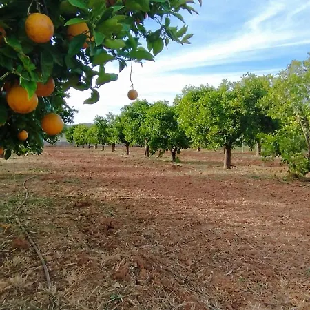 Entrecolinas 4* Paderne (Faro)