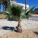 Oda ve Kahvaltı Entrecolinas Albufeira