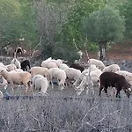 Entrecolinas Oda ve Kahvaltı 4*