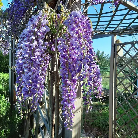 Entrecolinas Bed & Breakfast Albufeira