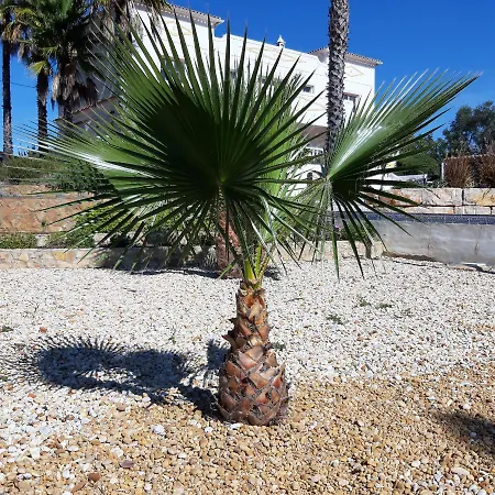 Bed and breakfast Entrecolinas Albufeira