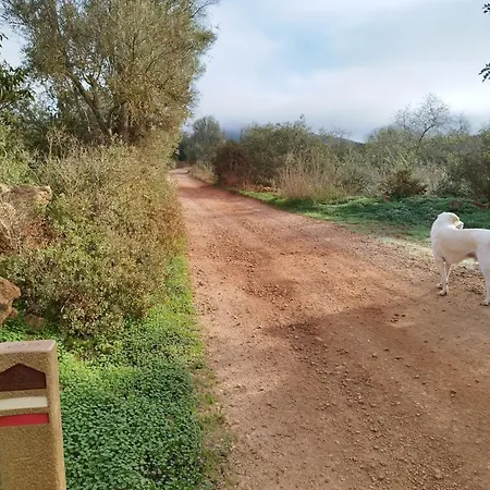 Entrecolinas Bed and breakfast