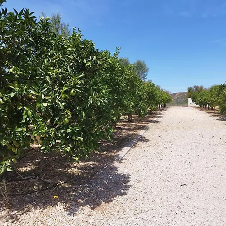 Entrecolinas Bed & Breakfast Paderne (Faro)
