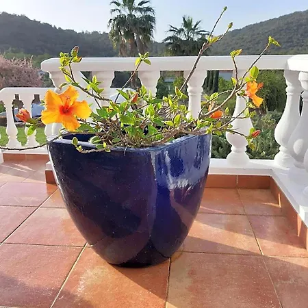 Entrecolinas Oda ve Kahvaltı Albufeira