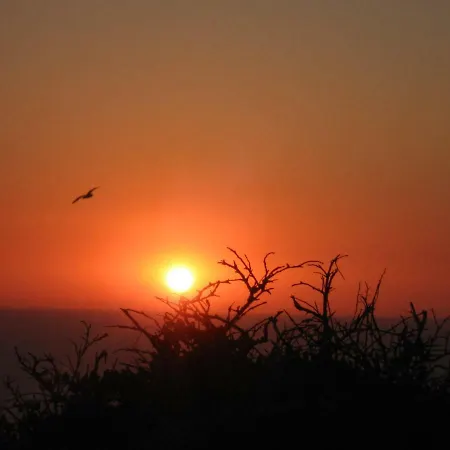 Bed & Breakfast Entrecolinas 4*