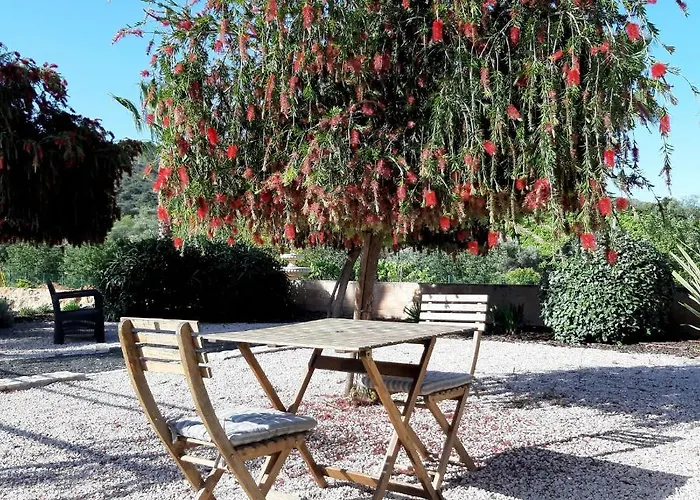 Couette-café Entrecolinas Albufeira