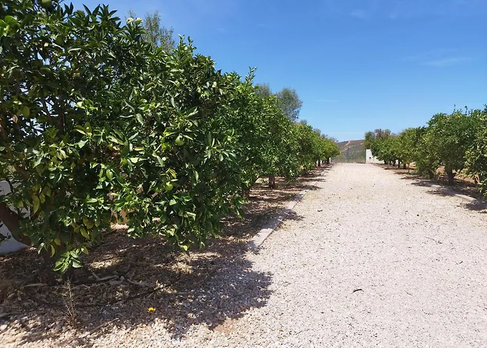 Entrecolinas Frühstückspension Albufeira