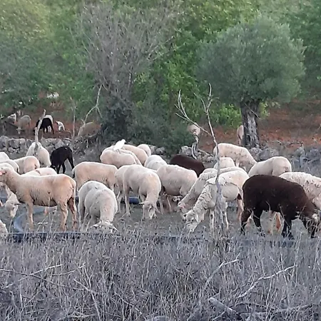 Entrecolinas Couette-café 4*